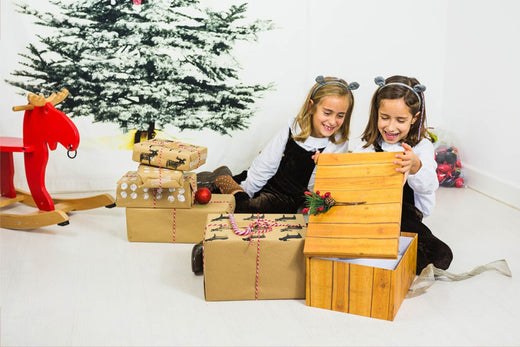 Give the Gift of Growth: Montessori Toys for Young Learners This Christmas