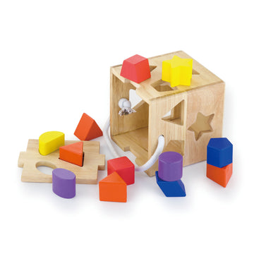 Shape Sorting Box: Building Skills Through Play